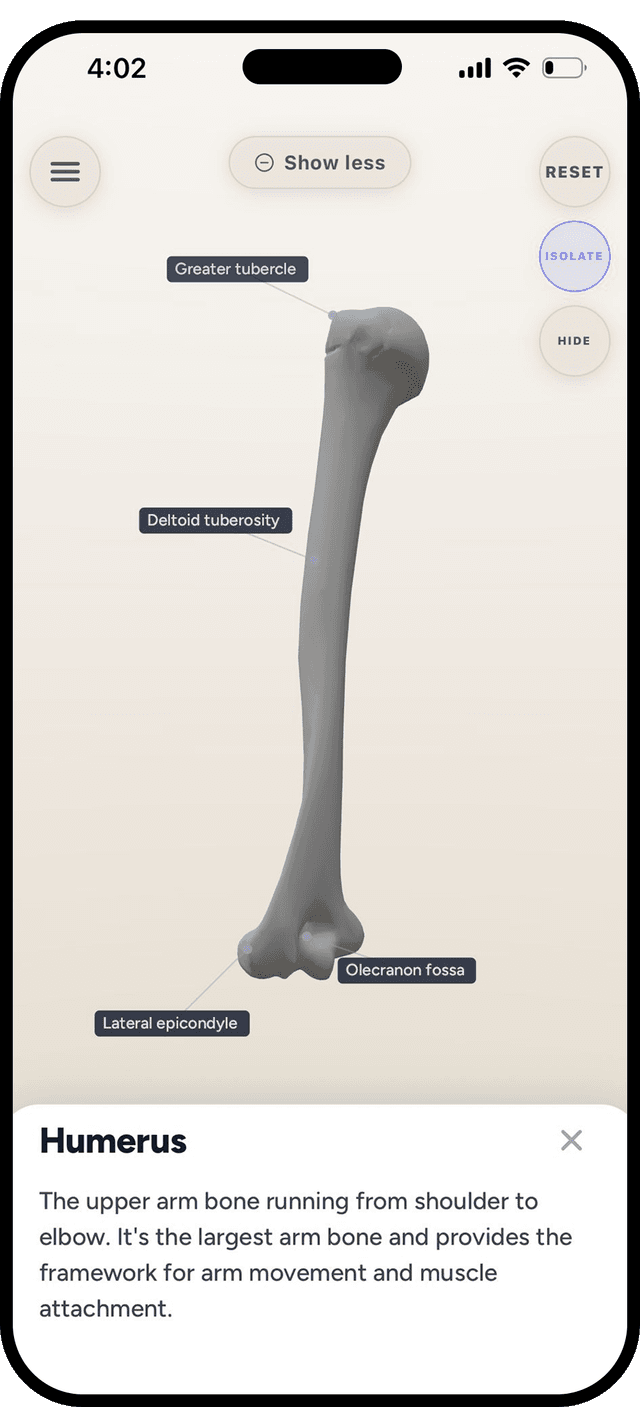 Landmark identification lesson